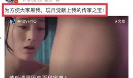 黄毅清爆料马苏的视频,真相与争议并存